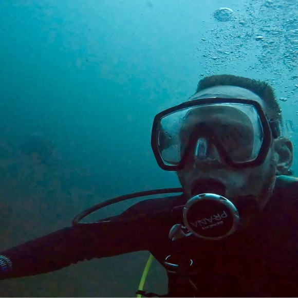 Howdy, I’m Sanders. - Picture 3 of 3